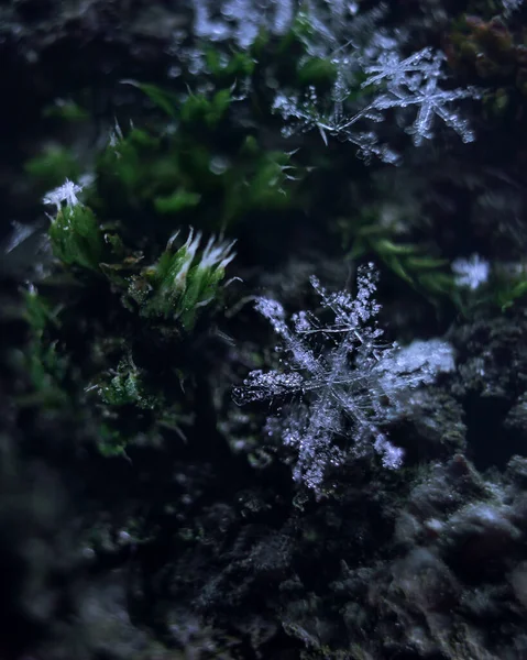 Macro Foto Van Een Sneeuwvlok Close Het Concept Van Winter — Stockfoto