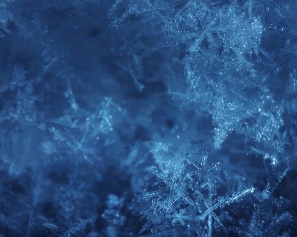 Bir Kar Tanesinin Makro Fotoğrafı Kış Kavramı Soğuk Doğanın Güzelliği — Stok fotoğraf