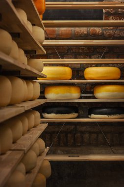 Çağlanmış peynir, depolama ve olgunlaşma sistemi olan bir peynir mandırasının üretim rafları