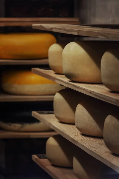 Estantes Producción Una Quesería Con Queso Viejo Envejecido Sistema Almacenamiento —  Fotos de Stock