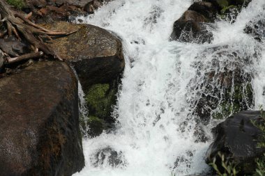 Montana 'daki Beartooth Dağları' ndaki bir derede akan beyaz su.
