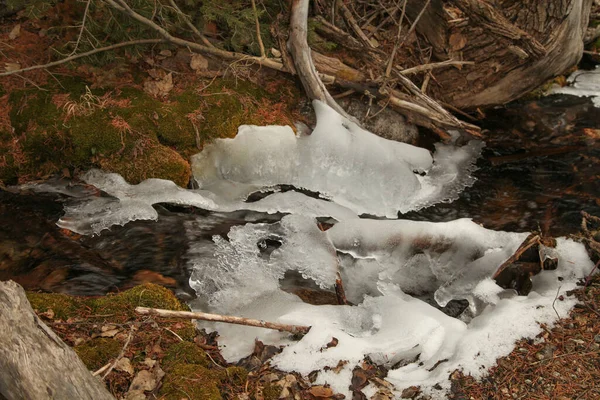 Formações Gelo Pequeno Riacho Beartooth Mountains Montana — Fotografia de Stock