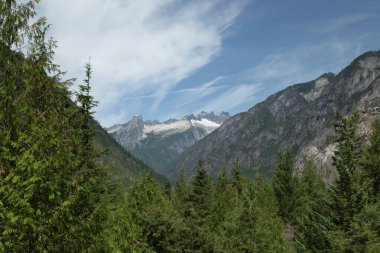 Washington 'daki Ross Gölü Ulusal Rekreasyon Bölgesi' nden gözlenen grev alanı