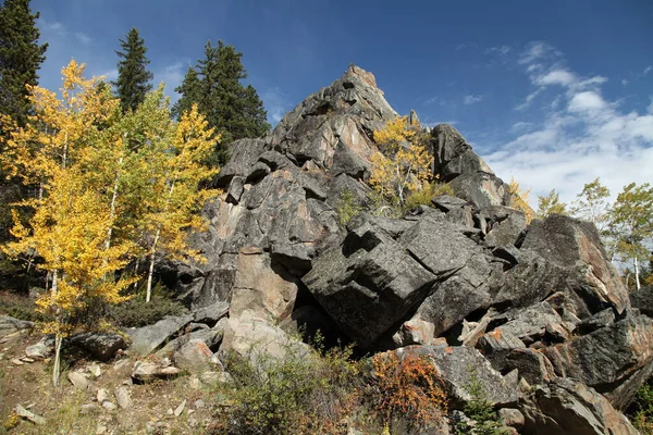 Colores Otoño Bighorn Mountains Wyoming — Foto de Stock