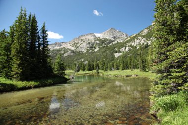 West Fork Rock Creek flowing in Beartooth Mountains, Montana clipart