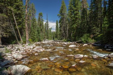 Soldaki Absaroka Dağları 'nı ikiye bölen East Fork Boulder Nehri ve sağdaki Beartooth Dağları, Montana.