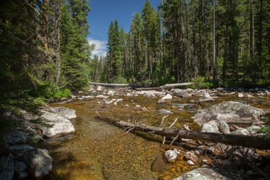 Soldaki Absaroka Dağları 'nı ikiye bölen East Fork Boulder Nehri ve sağdaki Beartooth Dağları, Montana.