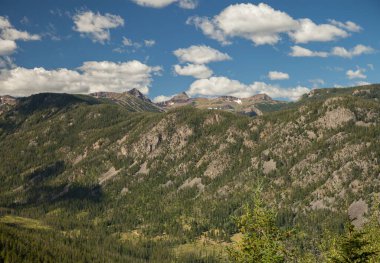 Custer Gallatin Ulusal Ormanı, Montana