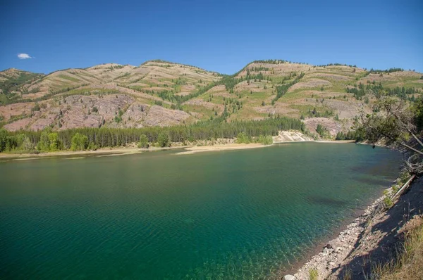 Éhes Lovak Víztározója Dél Villás Flathead Folyón Montana — Stock Fotó