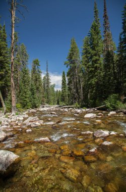 Soldaki Absaroka Dağları 'nı ikiye bölen East Fork Boulder Nehri ve sağdaki Beartooth Dağları, Montana.