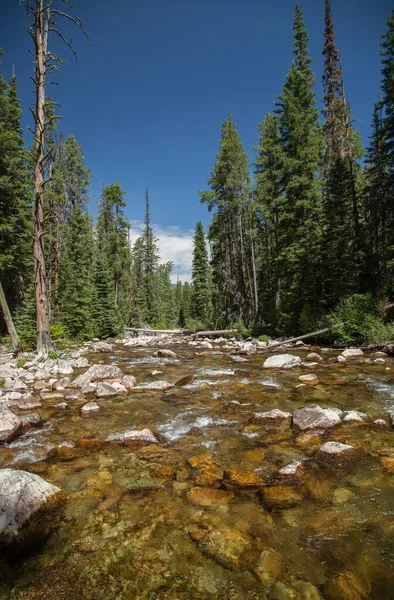 East Fork Boulder River Deler Absaroka Fjellene Til Venstre Beartooth – stockfoto