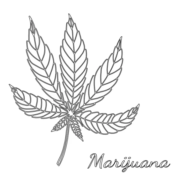 Ескіз марихуани ізольовано на білому тлі . — стоковий вектор