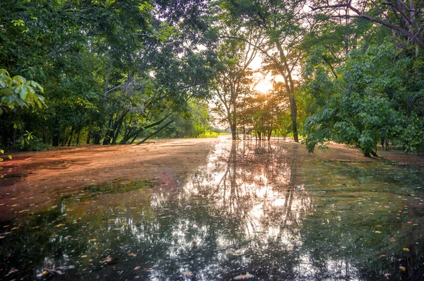 Rio na Floresta Amazônica ao entardecer, Peru, América do Sul — Fotografia de Stock