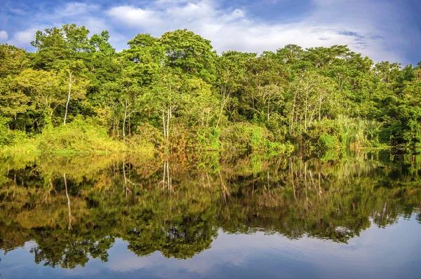 Řeka Amazonka deštný prales, Peru, Jižní Amerika — Stock fotografie