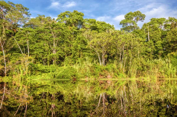 Fluss im Amazonas-Regenwald, Peru, Südamerika — Stockfoto