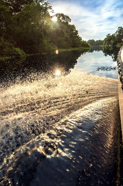 Amazon yağmur ormanları, Peru, Güney Amerika'da bir nehir üzerinde tekne — Stok fotoğraf