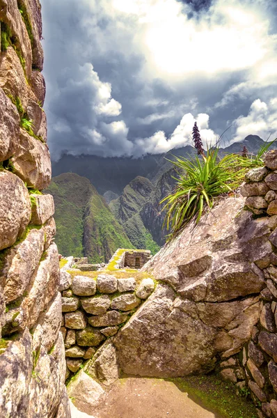 Inca ville Machu Picchu (Pérou) ) — Photo