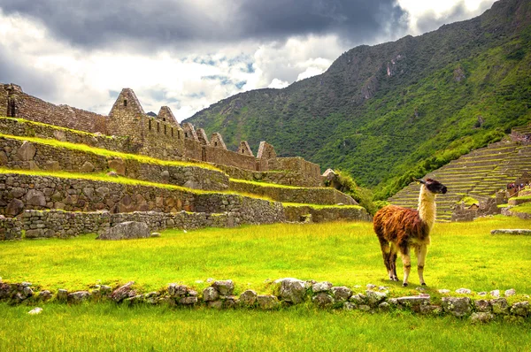 インカの都市マチュピチュ (ペルー) — ストック写真