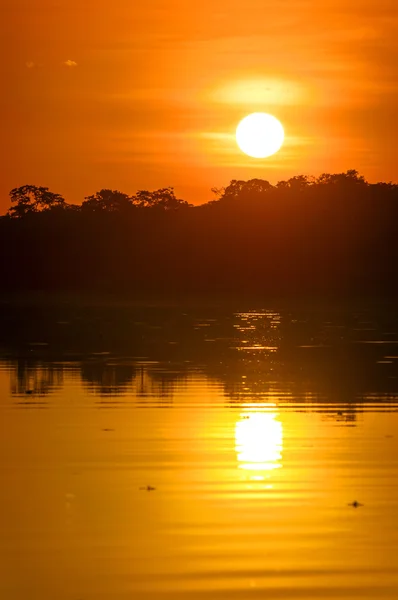 Річка в тропічних лісів Амазонки в сутінках, Перу, Південна Америка — стокове фото