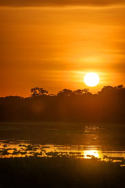 황혼, 페루, 남아메리카에서 아마존 열대우림에 강 — 스톡 사진