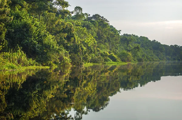 Řeka Amazonka deštný prales, Peru, Jižní Amerika Stock Fotografie