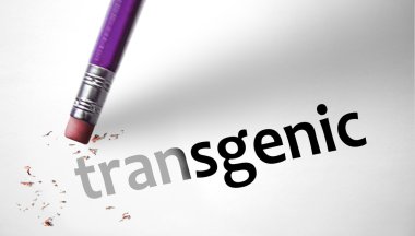 Silgi Transgenic sözcüğü silme