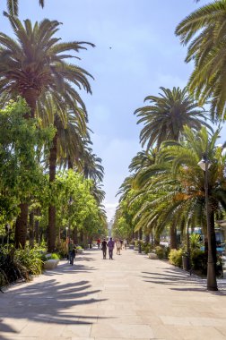 Malaga, İspanya - 14 Haziran: Malaga Park görünümünde güneşli bir günde 
