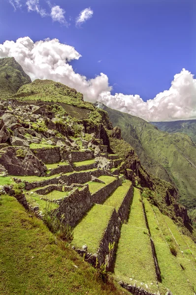 Città inca Machu Picchu (Perù) ) — Foto Stock