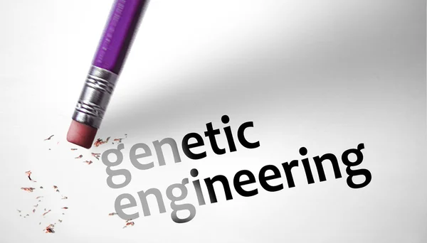 Eraser deleting the concept Genetic Engineering — Stock Photo, Image
