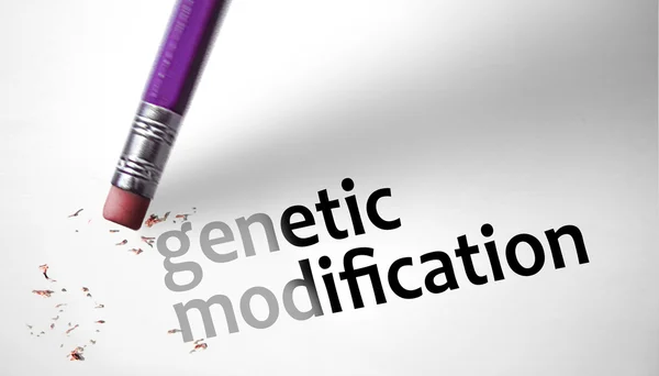 Eraser deleting the concept genetic modification — Stock Photo, Image