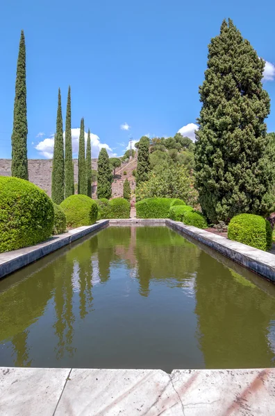 Concepcion Bahçe, jardin la concepcion Malaga (İspanya) — Stok fotoğraf