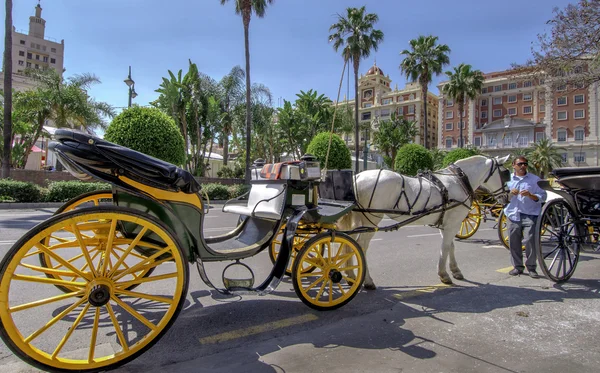 Malaga, spanien - juni 14: pferde und kutschen in der str. — Stockfoto