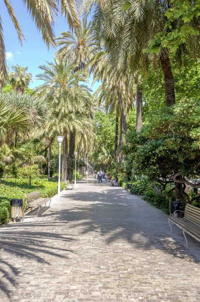 Malaga, Spanje - 14 juni,: Park van Malaga weergave in een zonnige dag op — Stockfoto