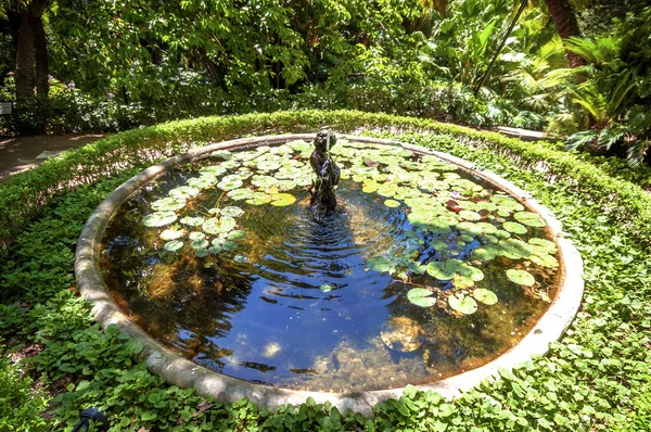 概念花园，花园中 (西班牙马拉加拉塞普西翁) — 图库照片