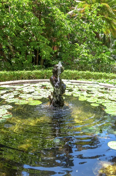 Conception garden, jardin la concepcion in Malaga (Spain) — Stock Photo, Image