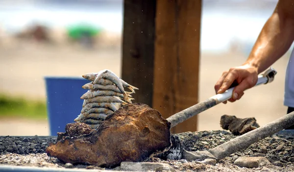 Sardines on a skewer firewood at the beach in Malaga, Spain — Stock Image Sardines on a skewer firewood at the beach in Malaga, Spain Stock Image