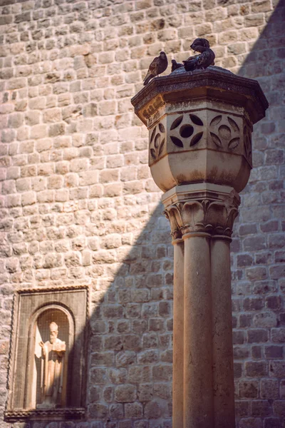 Croazia, Dubrovnik, muro e colombe — Foto Stock