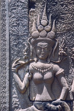 angkor wat tapınağı, siem hasadı, Kamboçya