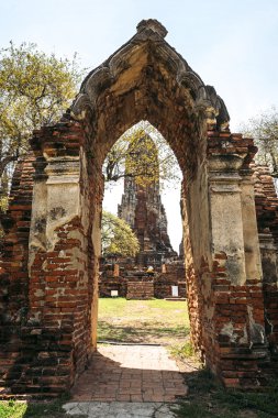 Eski tapınak Wat Mahathat Ayutthaya tarihi Park, Tayland