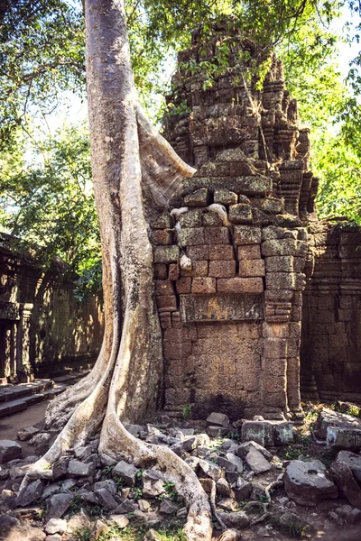 吴哥 Thom 庙观，柬埔寨，暹粒 — 图库照片