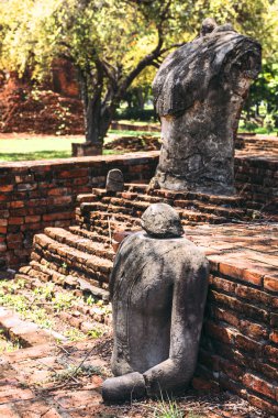Ayutthaya, Tayland antik Buda heykeli