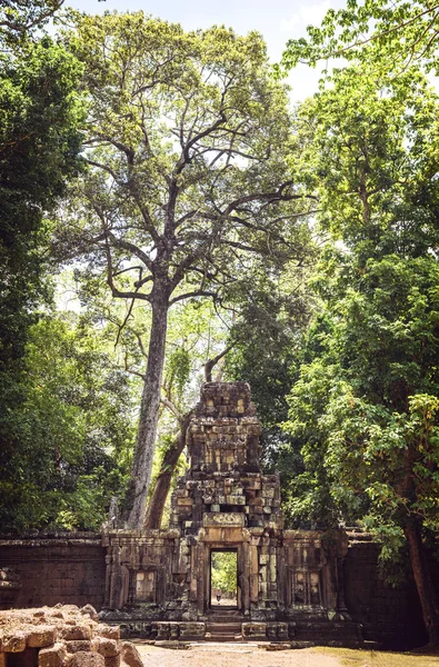 Angkor Thom Temple view, Siem reap, Cambodge — Photo