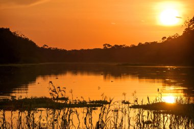 Nehir, alacakaranlık, Peru, Güney Amerika Amazon yağmur ormanlarında 