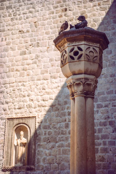 Croatia, Dubrovnik, wall and doves — Stock Photo, Image