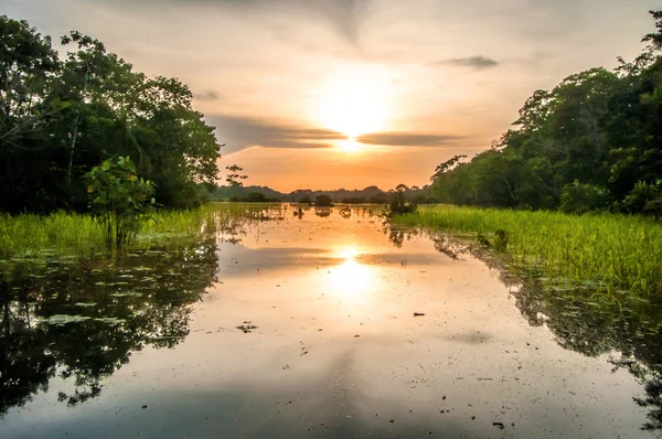 Rio na Floresta Amazônica ao entardecer, Peru, América do Sul — Fotografia de Stock