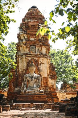 Ayutthaya, Tayland antik Buda heykeli