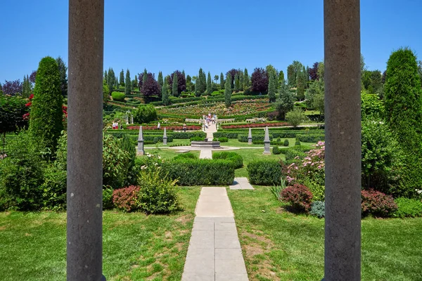 Vivero Arbustos Temporada Verano —  Fotos de Stock