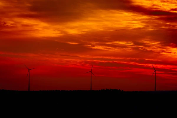 Wind turbines at sunset .Golden hour