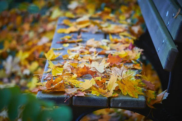 Park Bench Covered Leaves Frth Germany Autumn Season — Stock Photo, Image