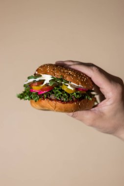 Ev yapımı hamburger. Salata, turp, kırmızı ve sarı domatesli hamburger.